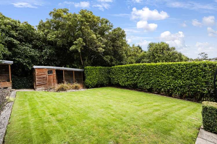 50 Every Street Andersons Bay_25