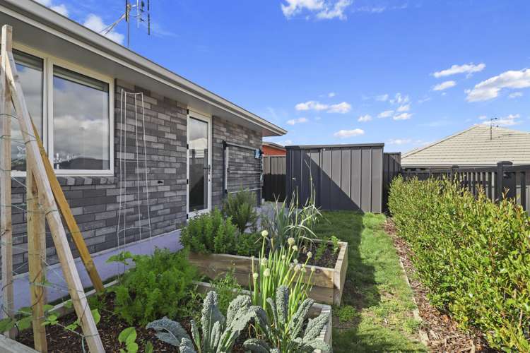 102 Sentinel Avenue Omokoroa_13