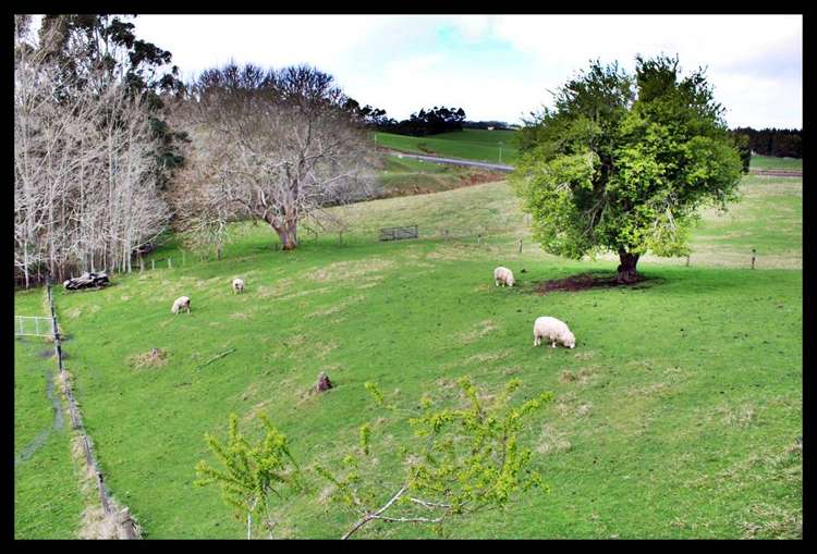 20 Old Port Road Catlins Surrounds_9