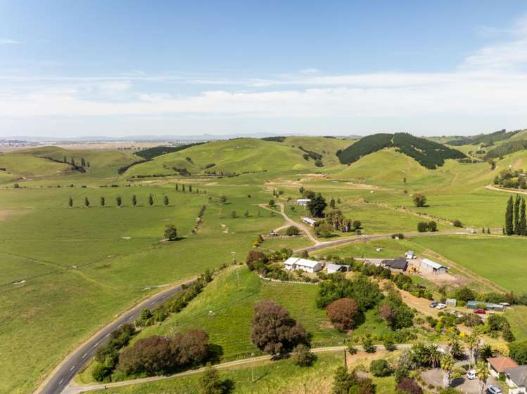 246 Seafield Road Eskdale_28