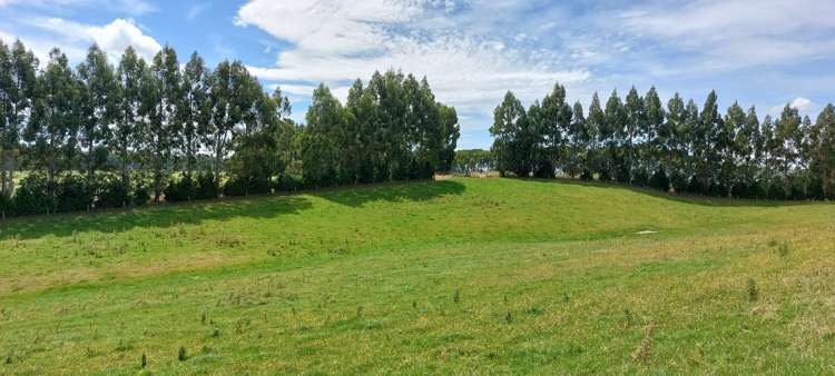 120 Roughan Road Southland_8