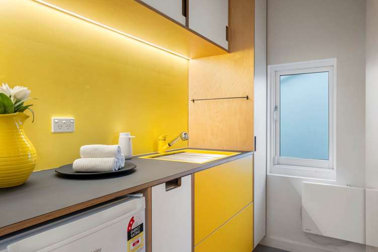 473 Parnell Road Parnell_11