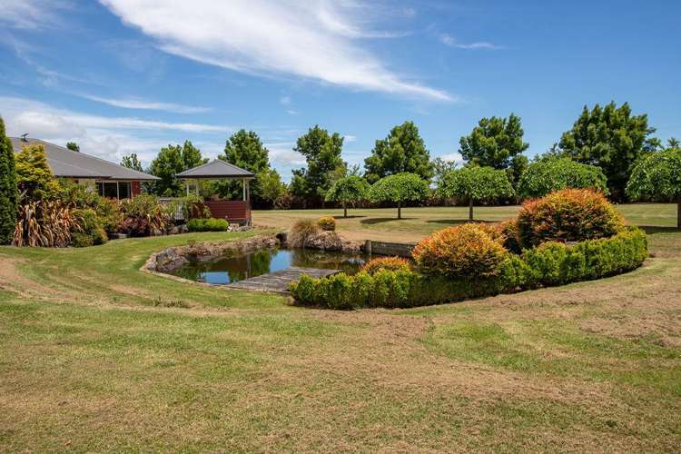 254A Mangateitei Road Rangataua_25