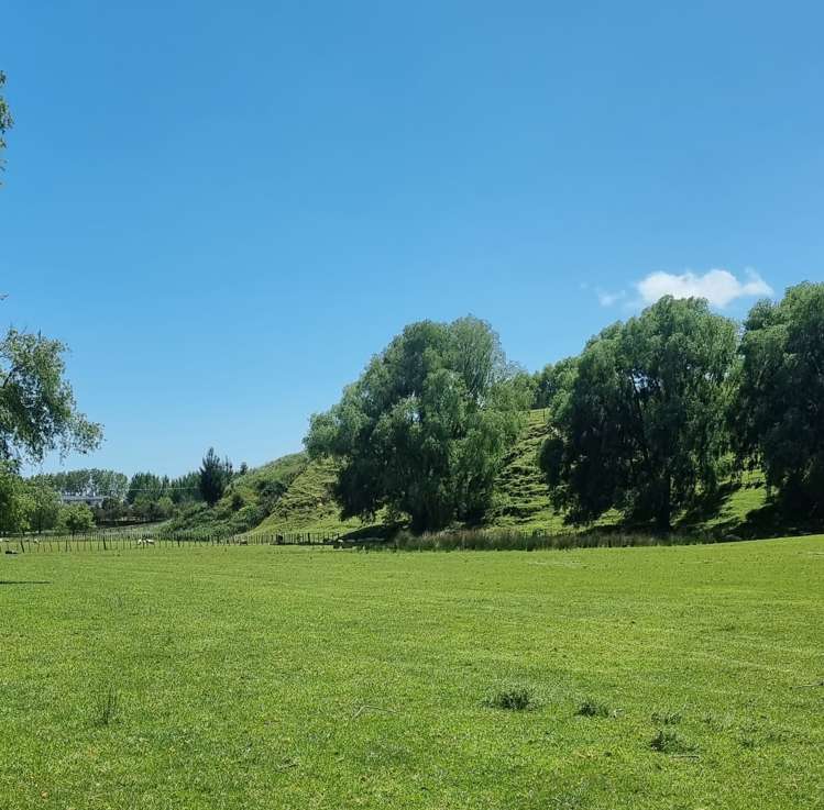 9 Buckley Road Shannon_3