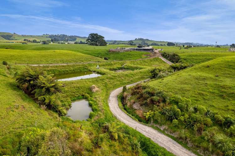 78A Waitoetoe Road Urenui_26