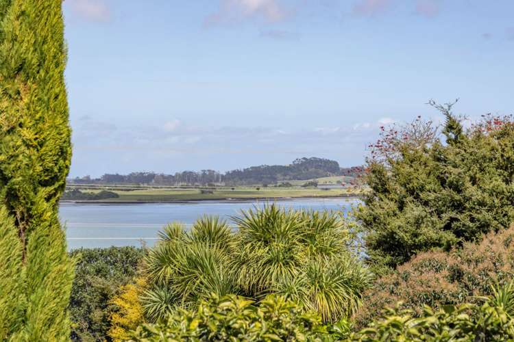 11 Rendcomb Place Hillsborough_15