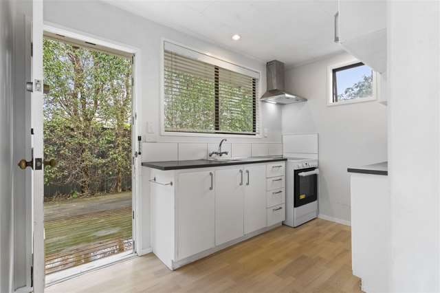 2/56 Te Koa Road Panmure_2