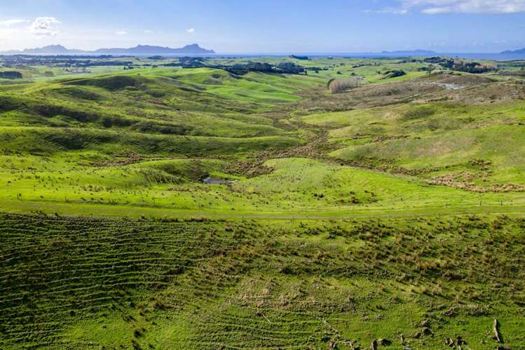 North Camp Road Waipu_5