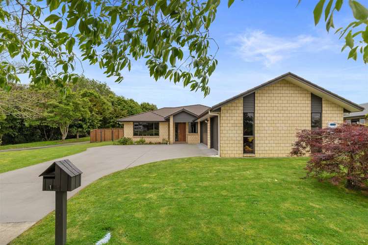 109 Coronation Road Morrinsville_22