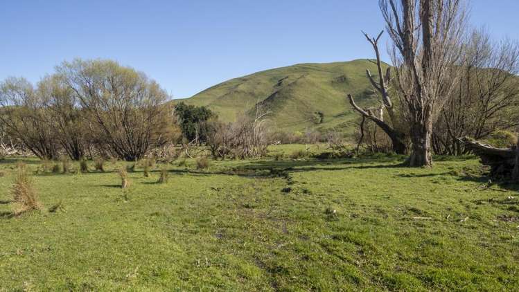 Lot 1 Mikimiki Road Masterton_13