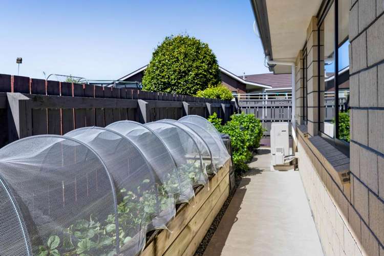 5a Maire Street Hawera_23