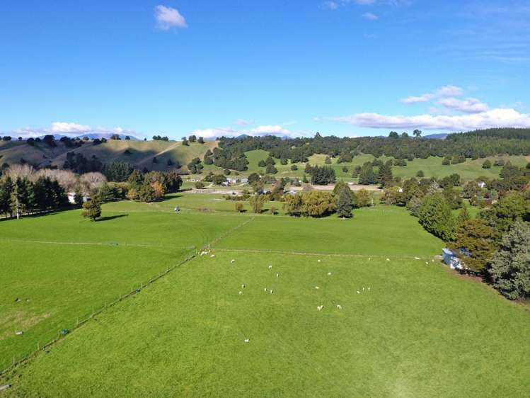 326 Wakefield-Kohatu Highway Wakefield_25