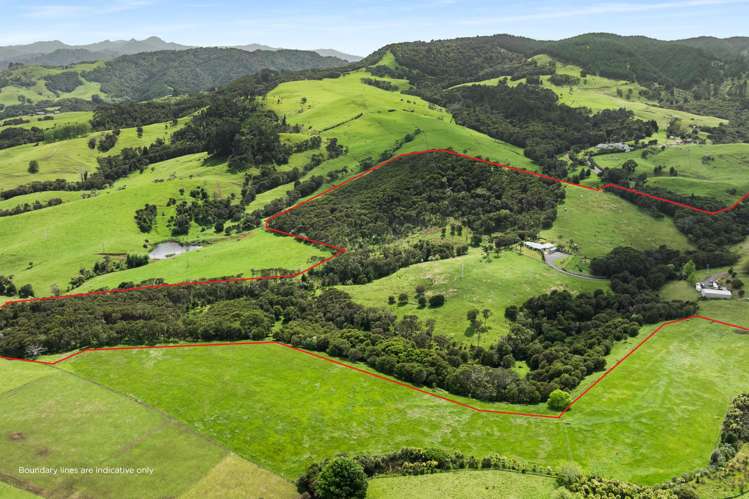 135 Warahoe Road Matatoki_27