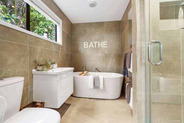 212 Ara-Kotinga Whitford_21