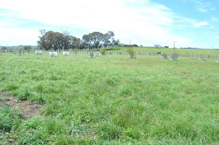 416 Te Kura Road Otane_22