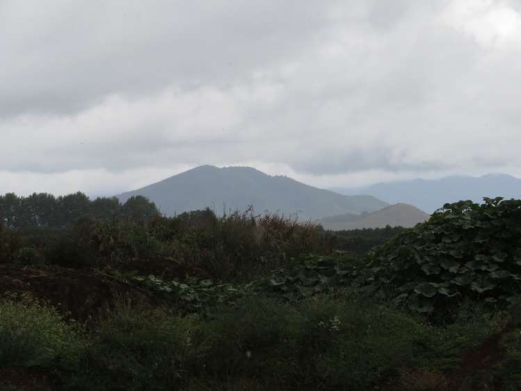 10 Te Kawa Road Otorohanga_8