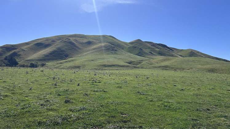 Mikimiki Road Masterton_14