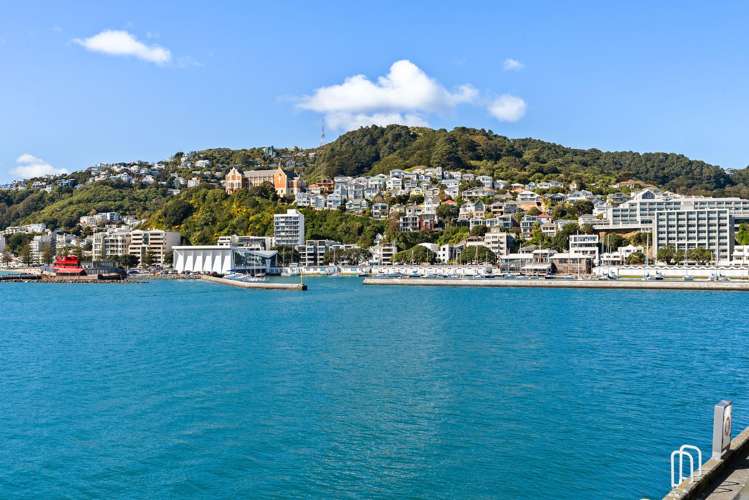 1A/2 Clyde Quay Wharf Te Aro_2