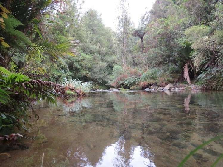 747a No 4 Road Te Puke_16