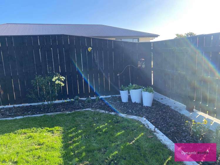 15 George Street Bulls_25