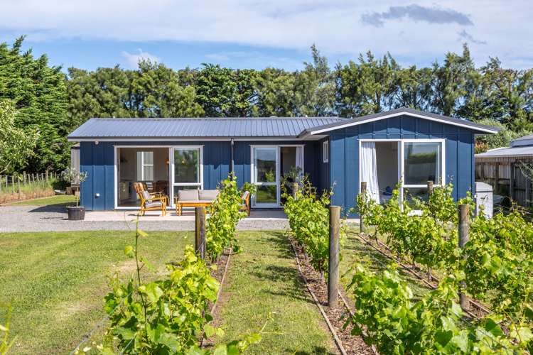56 Princess Street Martinborough_24