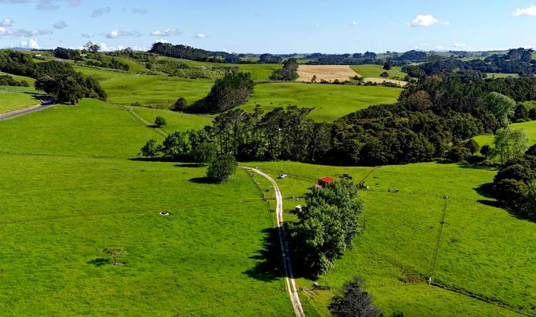 11 Pool Road Wellsford_3