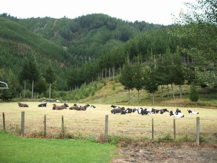 152 Kenningtons Road Havelock_20