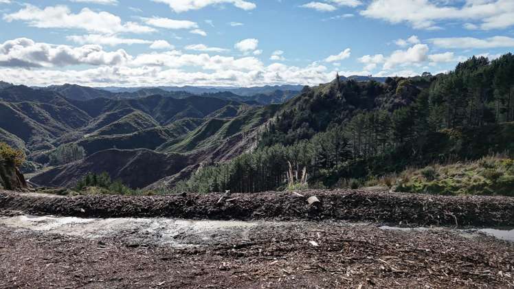 Rangitatau West Road Waitotara_13