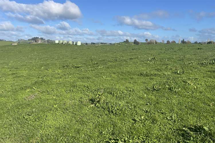 70 Smith Road Otorohanga_28