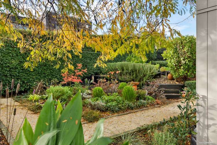 2 Woolshed Lane Pukekohe_5