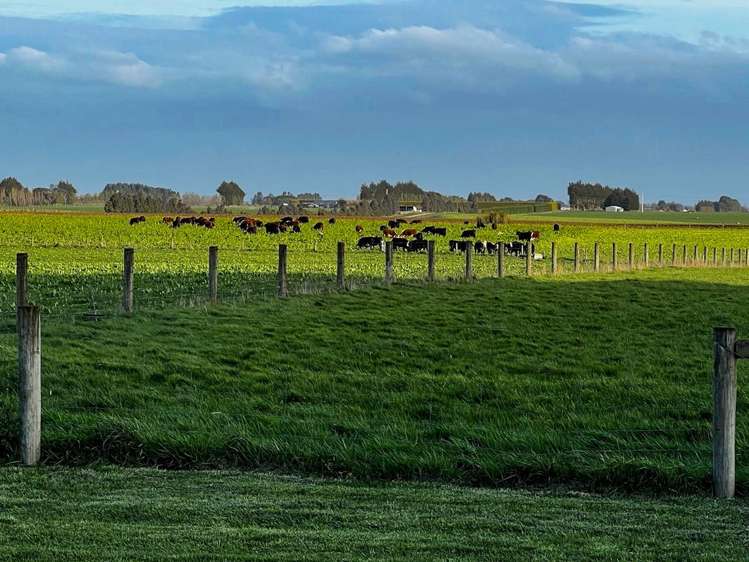 486 Irving Road and 150 Angle Road Woodlands_10