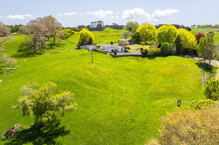 344 Palmer Mill Road Wairakei_26