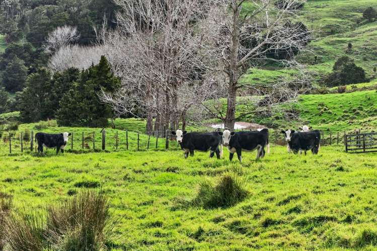 63 Porter Road Paparoa_35