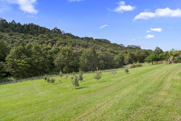 62 Pampas Lane Te Arai_23