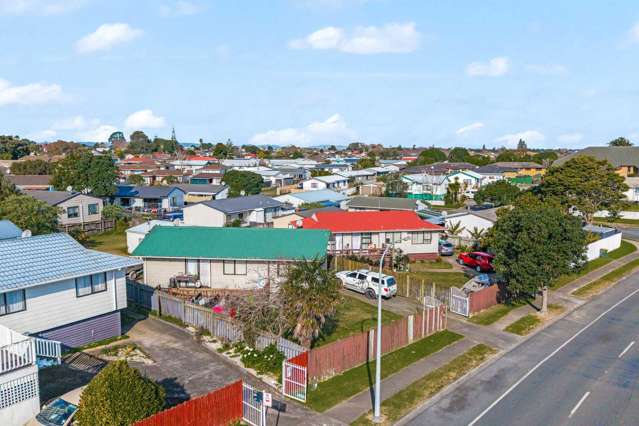 174 Finlayson Avenue Clendon Park_3