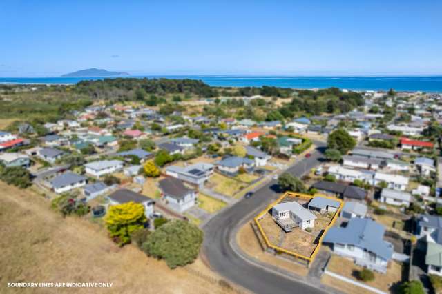 Easy Living with Stunning Tararua Views!