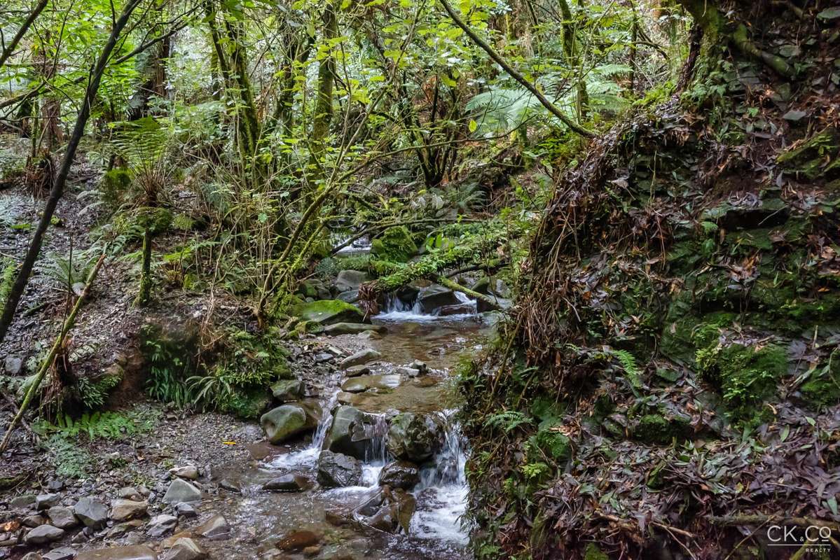 Zero Akatarawa Road_2