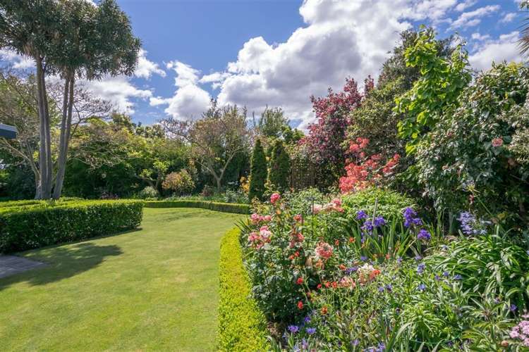 84a Colemans Road Springlands_24