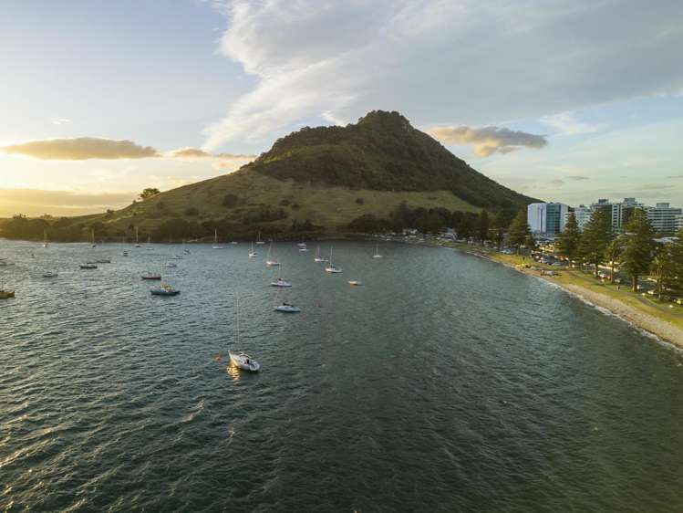 3a Grace Avenue Mount Maunganui_23