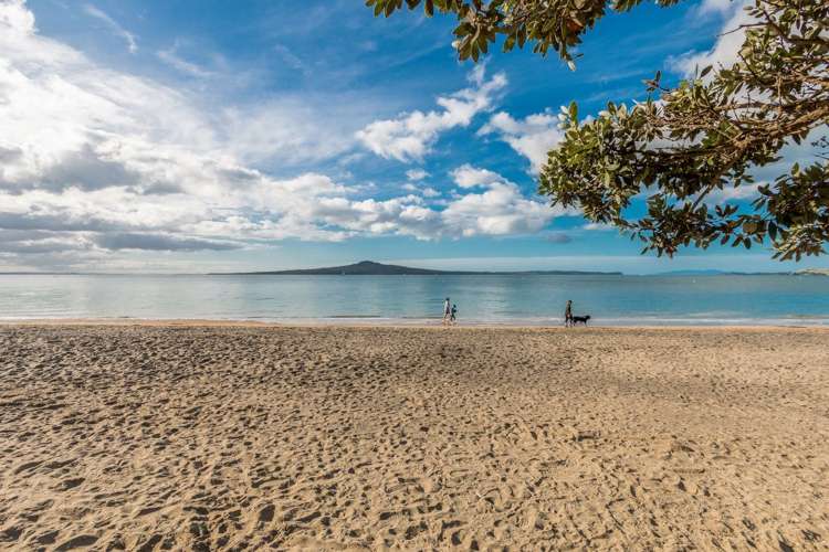 7 Speight Road Kohimarama_1