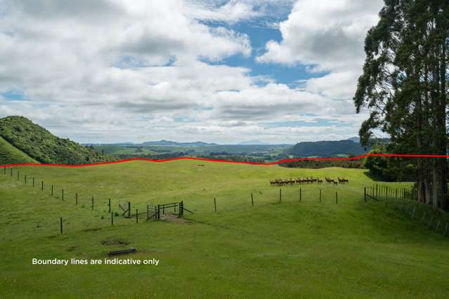 2603 State Highway 41 Kuratau_3