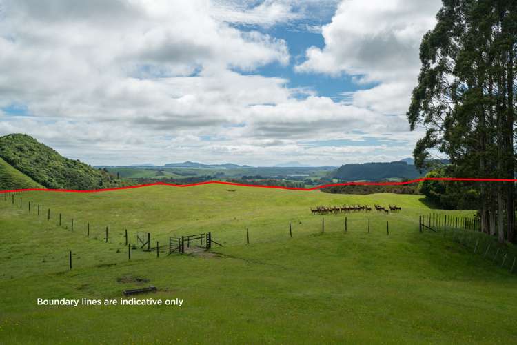 2603 State Highway 41 Kuratau_3