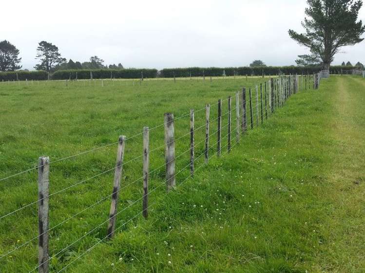 218 Dudley Road Inglewood_49