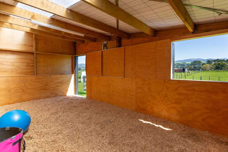 364 Wiltons Road West Taratahi_28
