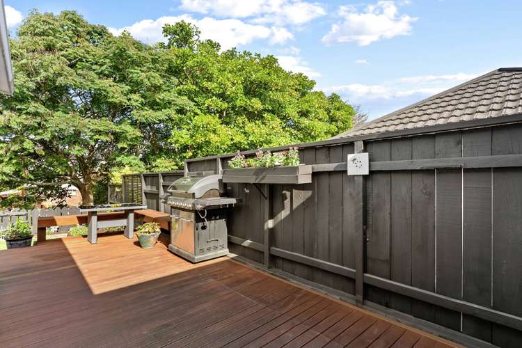9 McAlister Place Mount Roskill_18