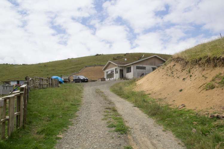 3002a Kaipara Coast Highway Glorit_20