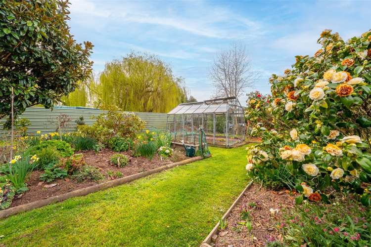 298 Oamaru-Alma Road Alma_16