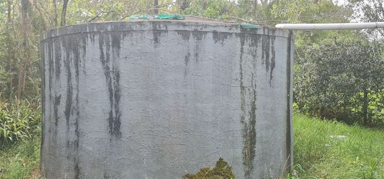 864 Otangaroa Road Kaeo_21