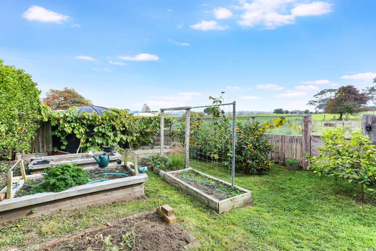 267 Herbert Road Rotongaro_16