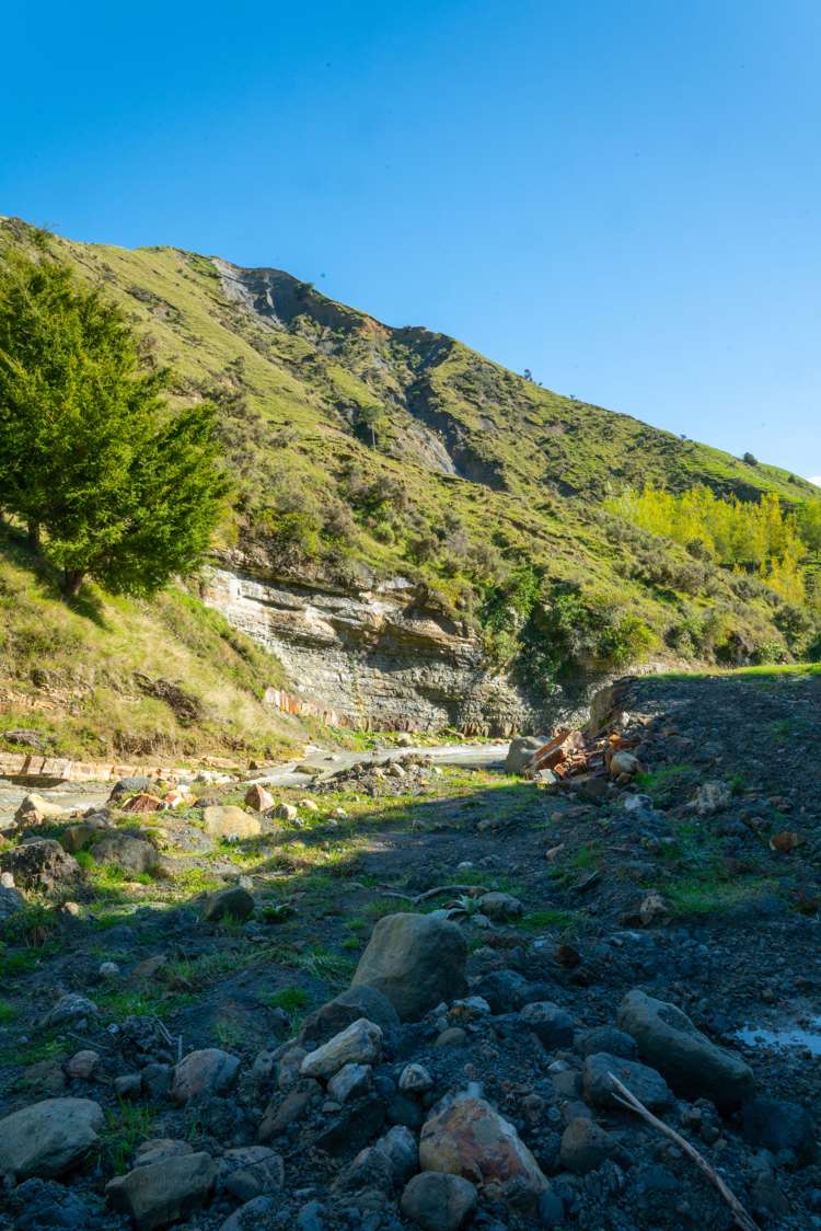 229 Rangikohua Road Tolaga Bay_10